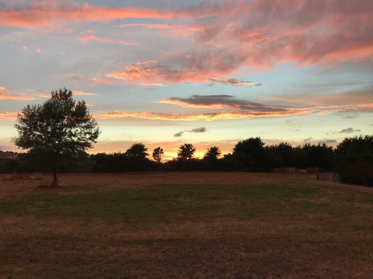 Court Farm Holiday Bungalows Ltd Watchet Luaran gambar